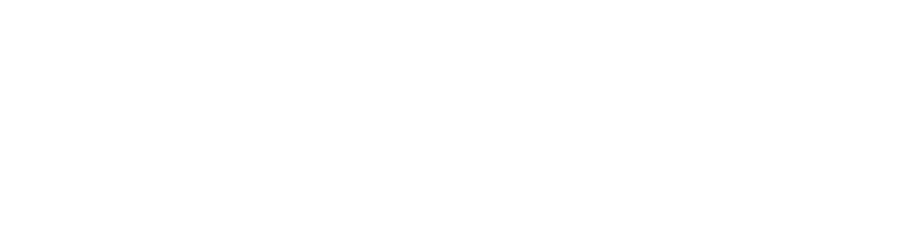 SolidQubit